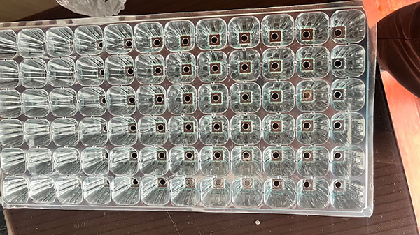 小黄片在线免费看育苗盤片材