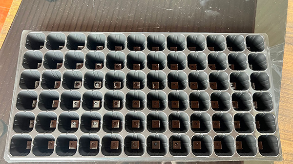 濟寧小黄片在线免费看片材價格